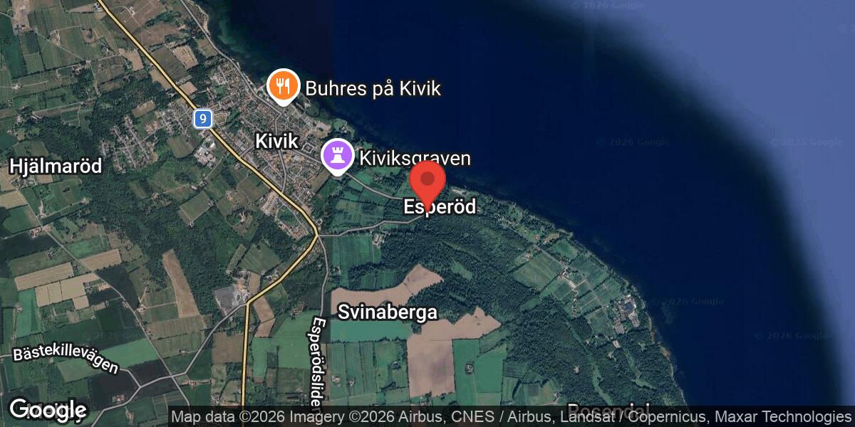 Nedfallet träd blockerade väg 1613 mellan Skogsdala och Äsperöd