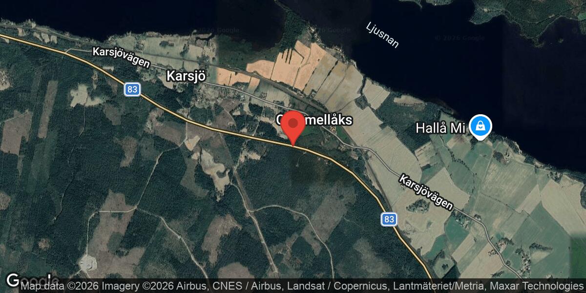 Viltolycka med älg på väg 83 mellan Djupa och Karsjö