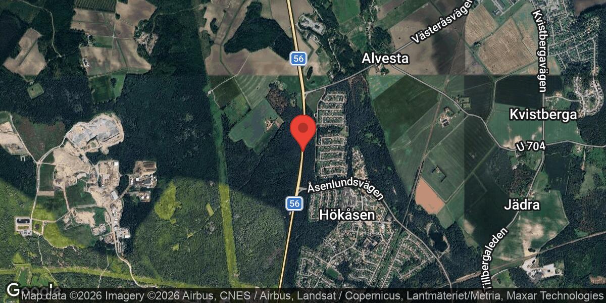 Hjortar på vägbanan på väg 56 mellan Hökåsen och Alvesta