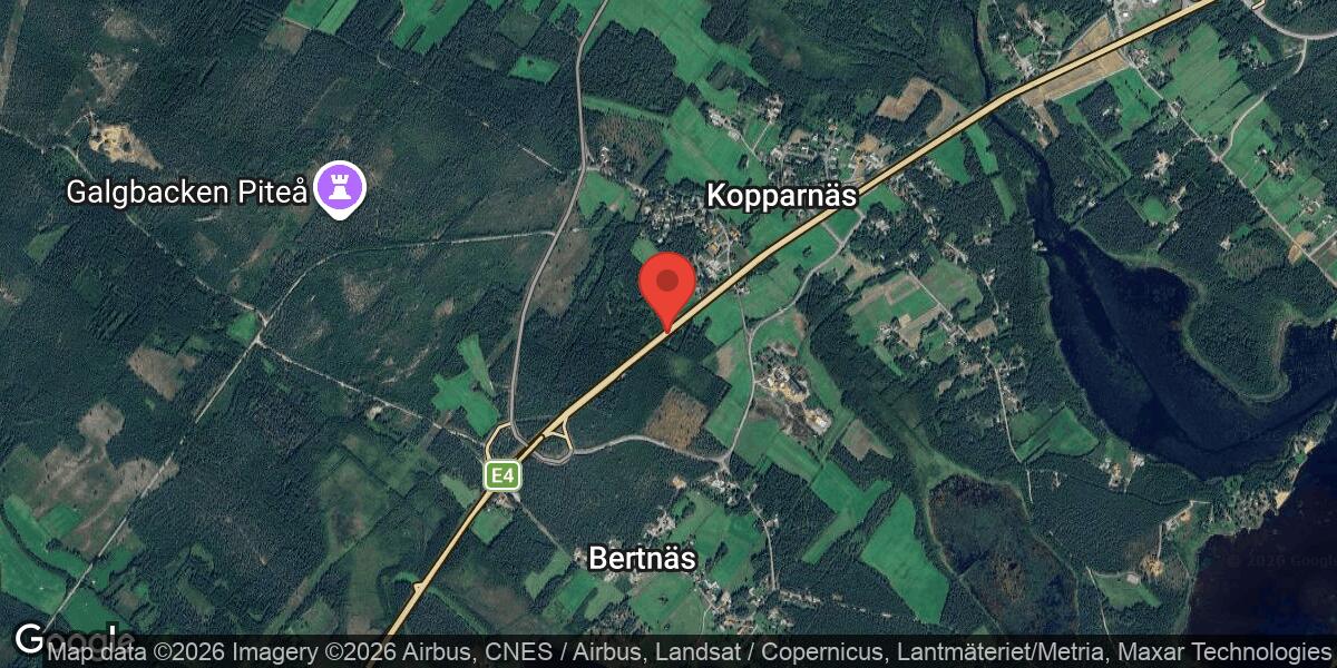 Rådjur på vägen vid Kopparnäs påverkar E4 i båda riktningarna