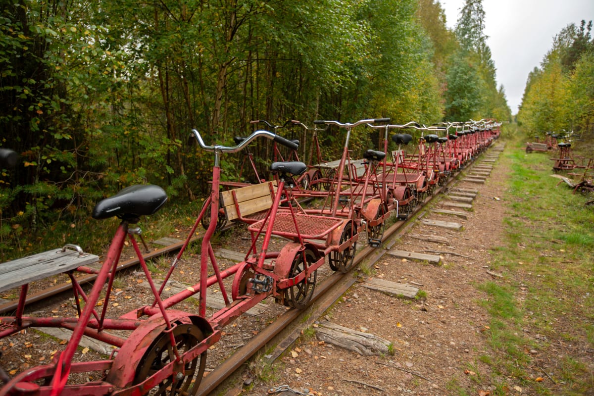 En lång rad med röda dressiner står parkerade på en tågräls i en skogsmiljö. Grönskande träd kantar rälsen på båda sidor, och marken består av jord och gräs. En gråmulen himmel syns ovanför trädkronorna.