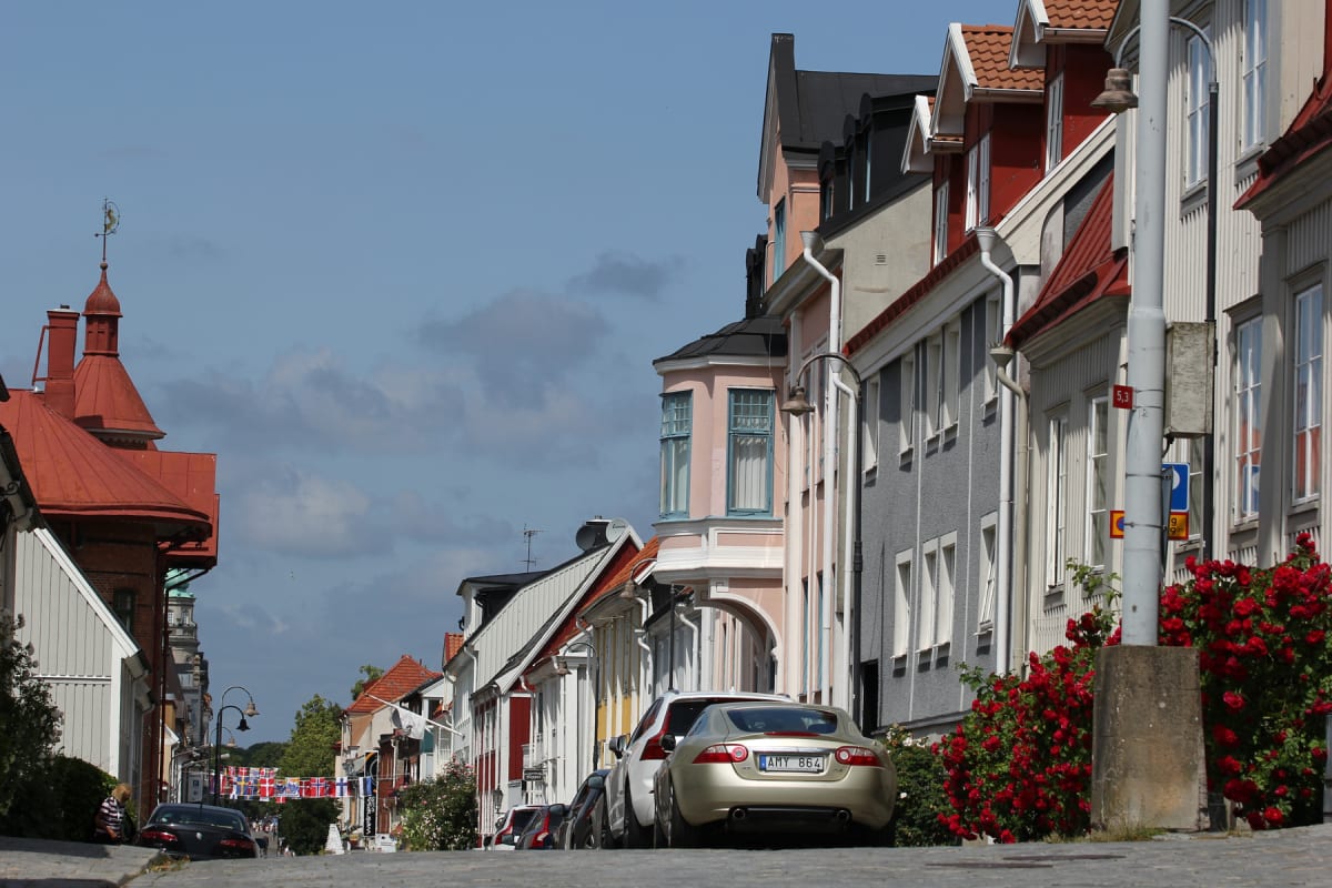 En gata kantad av hus med tak i rött och tegel, parkerade bilar och blommande röda buskar. I bakgrunden syns en blå himmel med vita moln, och på avstånd hänger flaggor över gatan. En röd takspira med en vindflöjel är synlig till vänster.