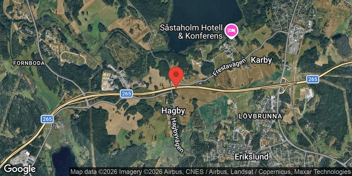 Vildsvin nära körbanan på Väg 265 mellan Hagbylund och Täby Kyrkby