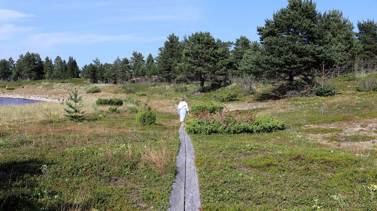 Visit Piteå söker kreatörer till sommarkampanj om ljusa nätter