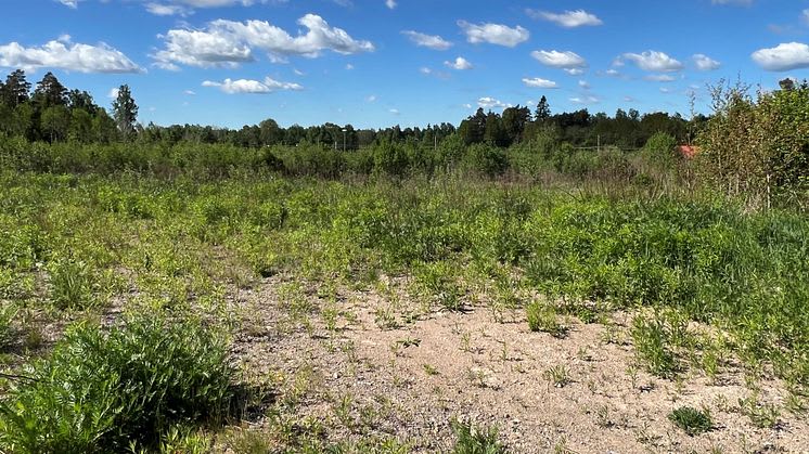 Förslag: Spåningslanda utreds som plats för ny ishall med två isytor i Alvesta