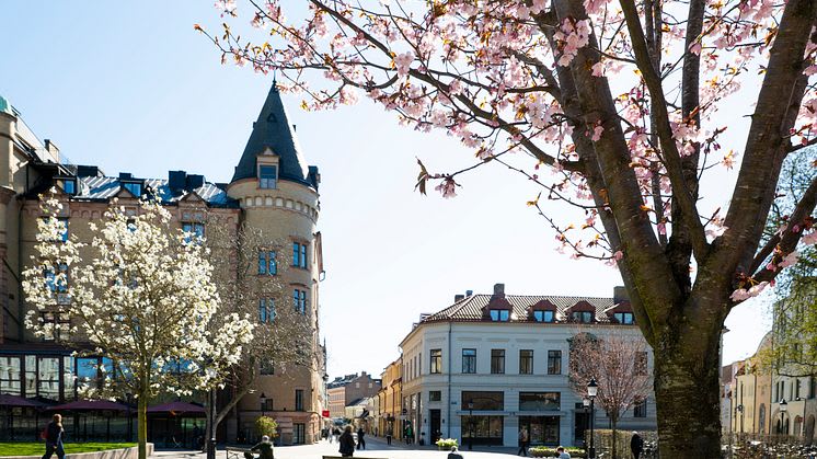 Lund klättrar åtta platser i Svenskt Näringslivs ranking