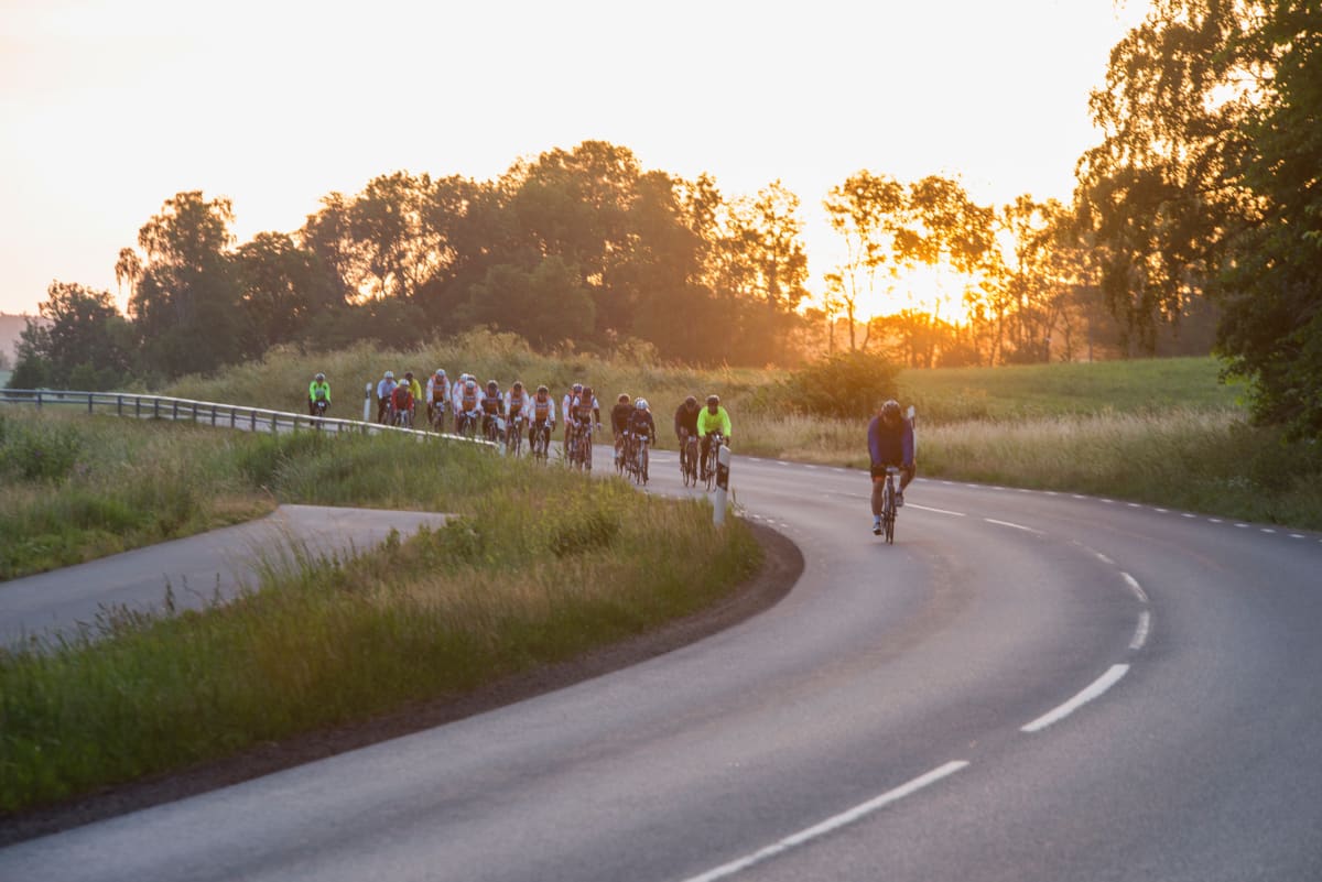 En grupp cyklister cyklar på en slingrande landsväg i solnedgången, omgivna av grön vegetation och träd. Solen lyser starkt bakom träden, vilket skapar en varm glöd.