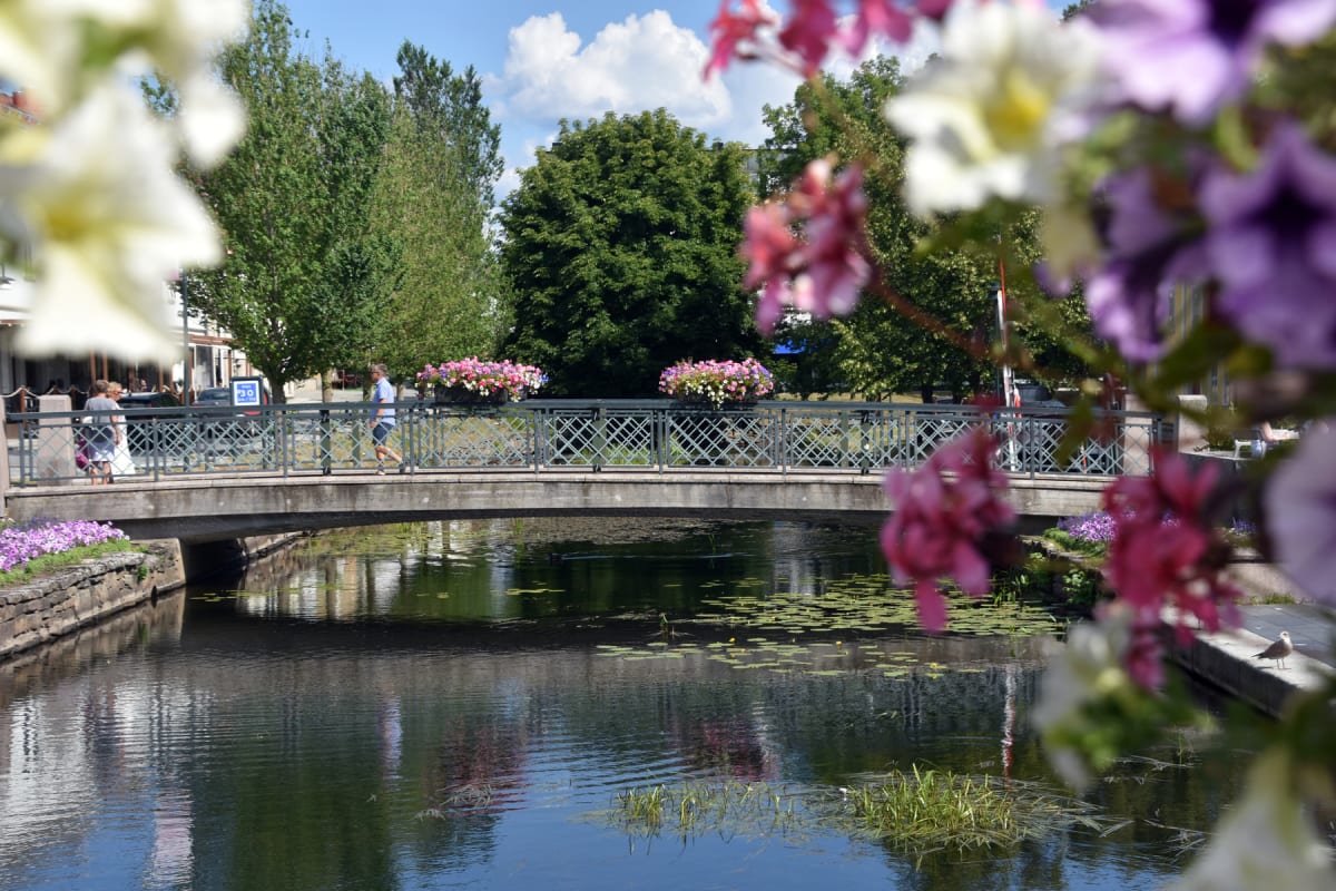 En bild tagen i sommarväder med en bro dekorerad med blommor över vatten. Människor går över bron och det finns träd i bakgrunden. Förgrunden är oskarp med blommor. Vattnet reflekterar omgivningen och har näckrosor.