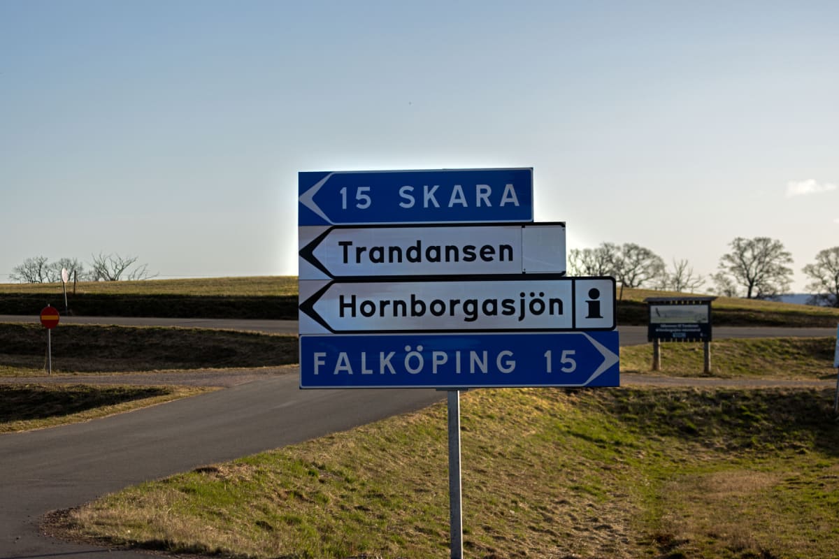 En vägskylt med vägbeskrivningar till Skara, Trandansen, Hornborgasjön och Falköping står intill en asfalterad väg med gräsbevuxna dikesränder. Träd utan löv syns i bakgrunden under en ljus himmel.