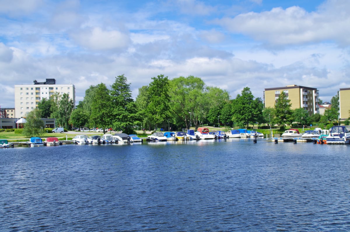 Moln, natur och söktryck – dagens snabba överblick