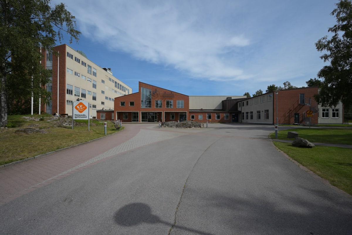 En bild som visar en byggnad med delvis tegel- och delvis ljus fasad under en blå himmel med moln. Två träd syns i bildens kanter. En asfalterad väg leder in mot byggnaden. En skylt med texten "Holaveds-gymnasiet" står till vänster i förgrunden.