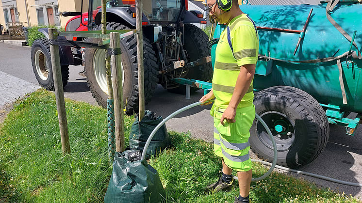 Återvunnet vatten ska vattna Hässleholms planteringar i sommar