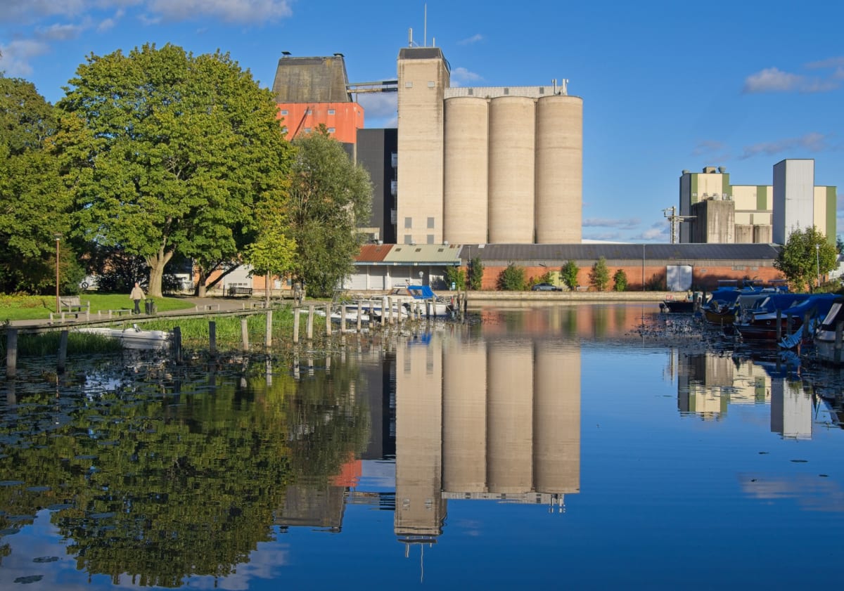 En bild visar en vattensamling med reflektioner av omgivande byggnader och träd. Till vänster syns träd och en gångbro med en person. I bakgrunden reser sig industriella byggnader, inklusive höga silor och en röd byggnad, under en blå himmel med moln