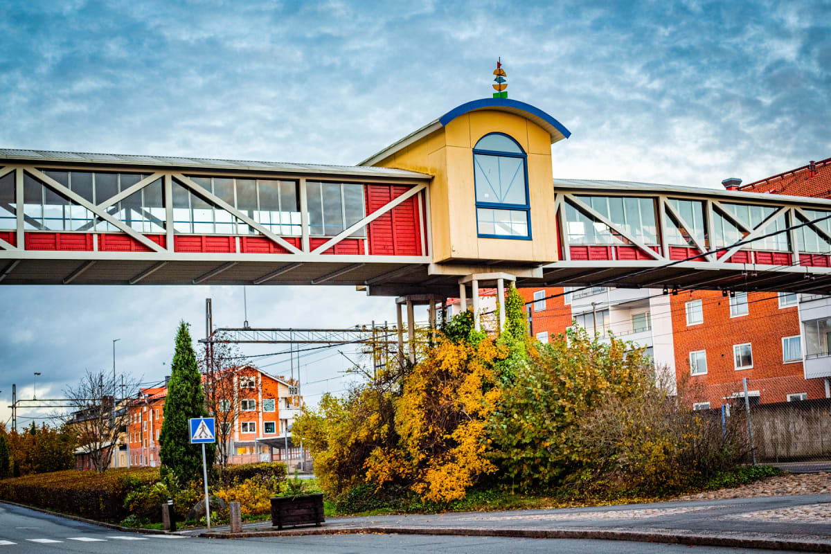 Söndagspulsen: natur, musik och lokala planer