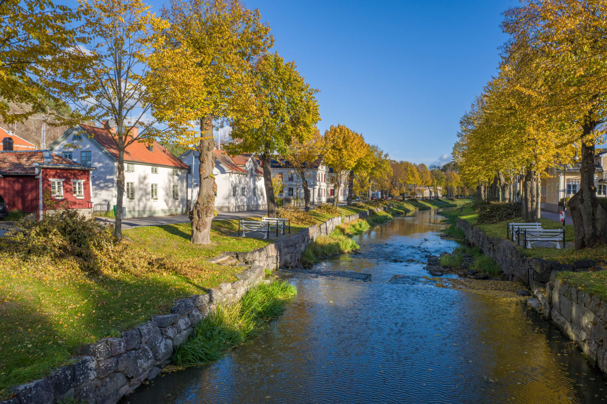 En å rinner genom centrum av en bebyggelse med trähus längs båda sidor. Lövträden som kantar ån har gula löv och gräsmattor med höstlöv lyses upp av solen under en molnfri blå himmel.