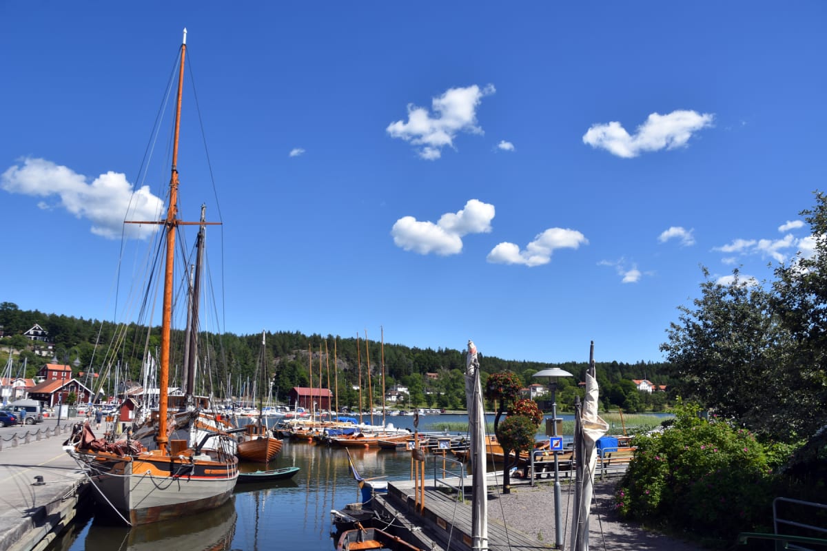 Segling: Höstskottet