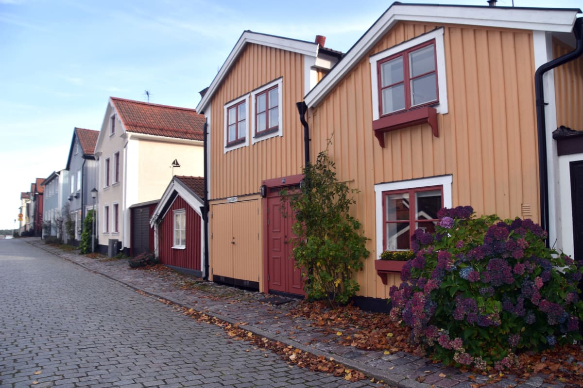 En gata med gatsten framför flera hus i olika färger, där de närmaste husen är orange. Höstlöv ligger utspridda på marken och en buske med lila blommor syns intill det närmaste huset. Himlen är ljusblå och molnfri.