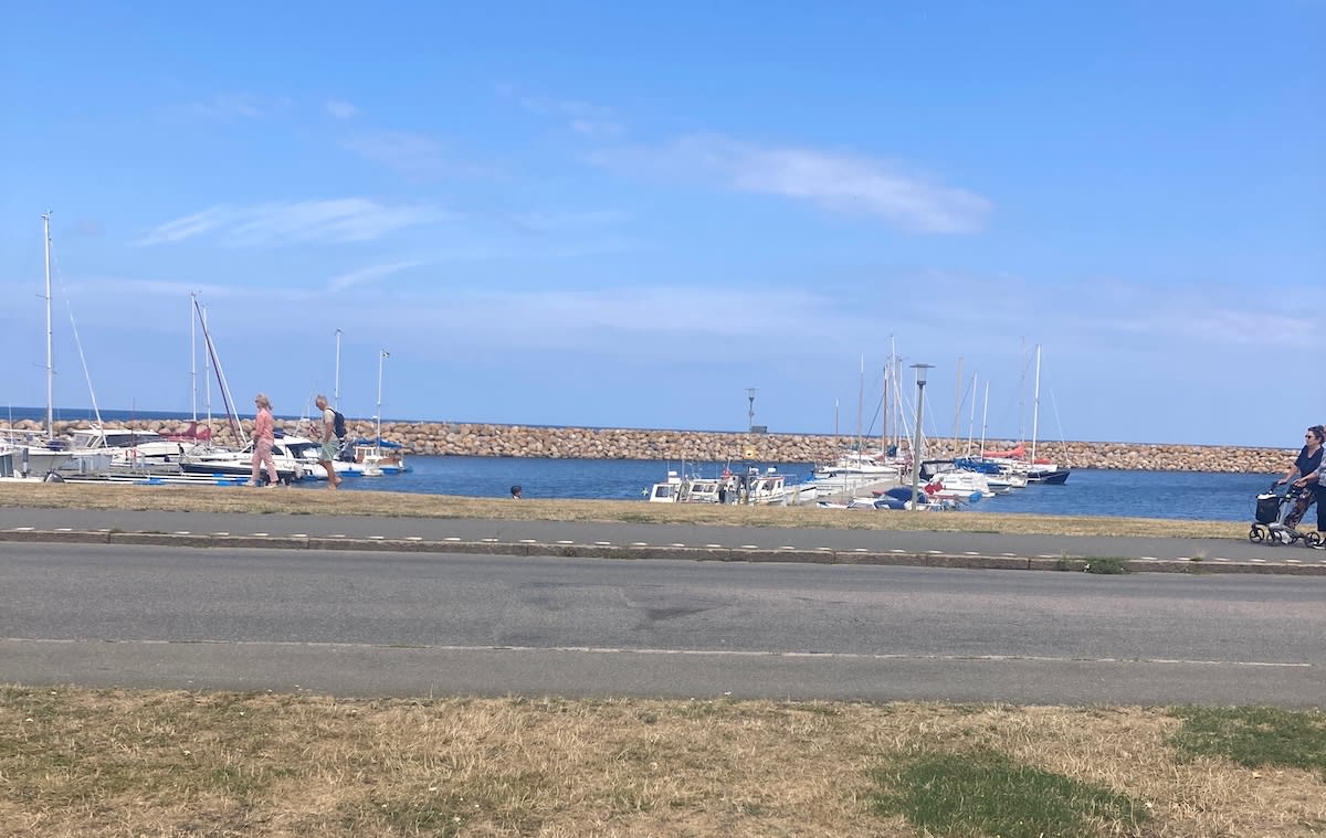 En utomhusbild som visar en småbåtshamn med flera båtar förtöjda. I förgrunden syns en asfalterad väg och ett gräsbevuxet område. Flera personer promenerar nära hamnen, och molnfri himmel dominerar bakgrunden.