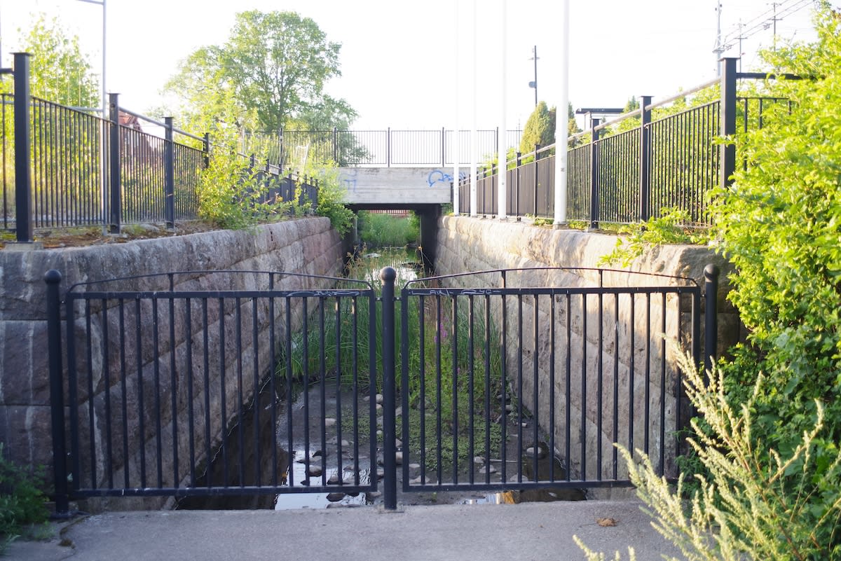 En bild ovanifrån av en liten kanal eller bäck som rinner under en betongbro. Kanalen kantas av stenmurar och svarta metallräcken, och vegetation växer på sidorna och i vattnet.