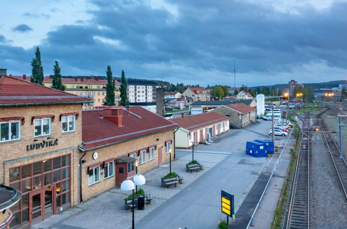 Mulet morgonljus och en kväll om våtmarker