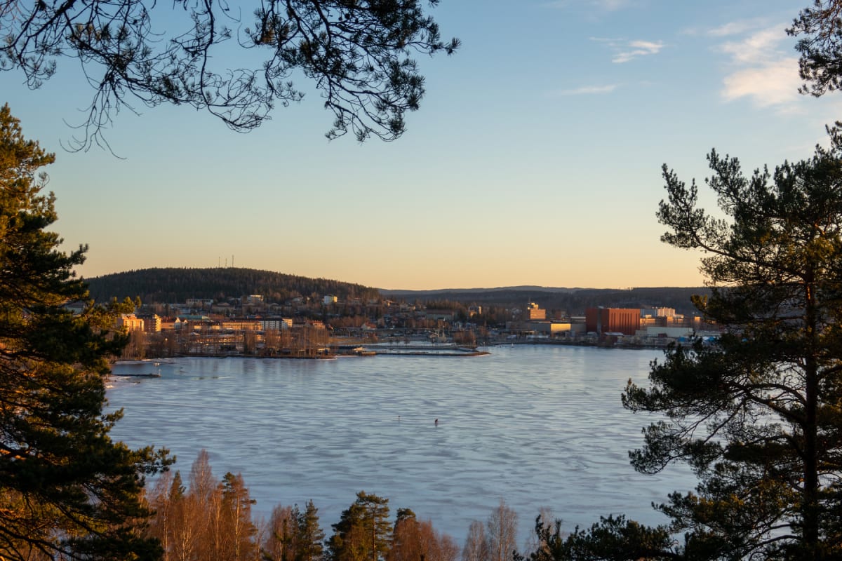 En översiktsbild av en stad vid en frusen sjö under en klar dag. Tallar och kala lövträd syns i förgrunden och på sidorna. Staden breder ut sig längs med sjön och på en kulle i bakgrunden