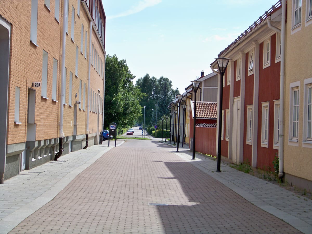 Lätt regn och globala valnyheter i dagens översikt