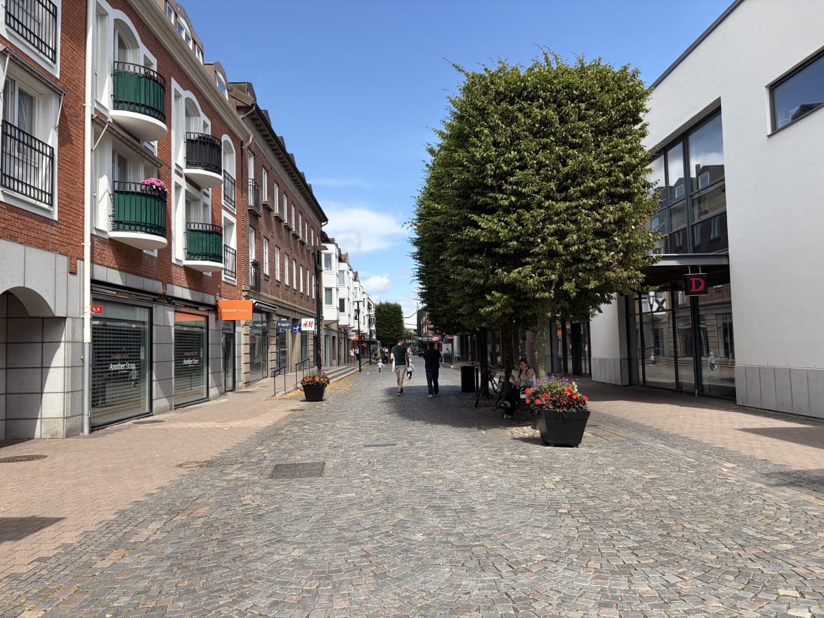 Promenad med trygghetsvärdarna (Villan)