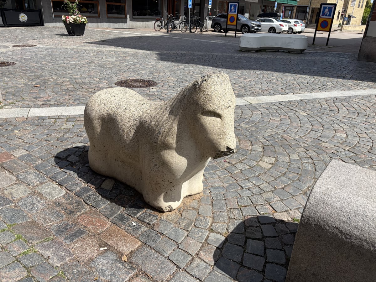 Saga på bibblan i Skälderviken