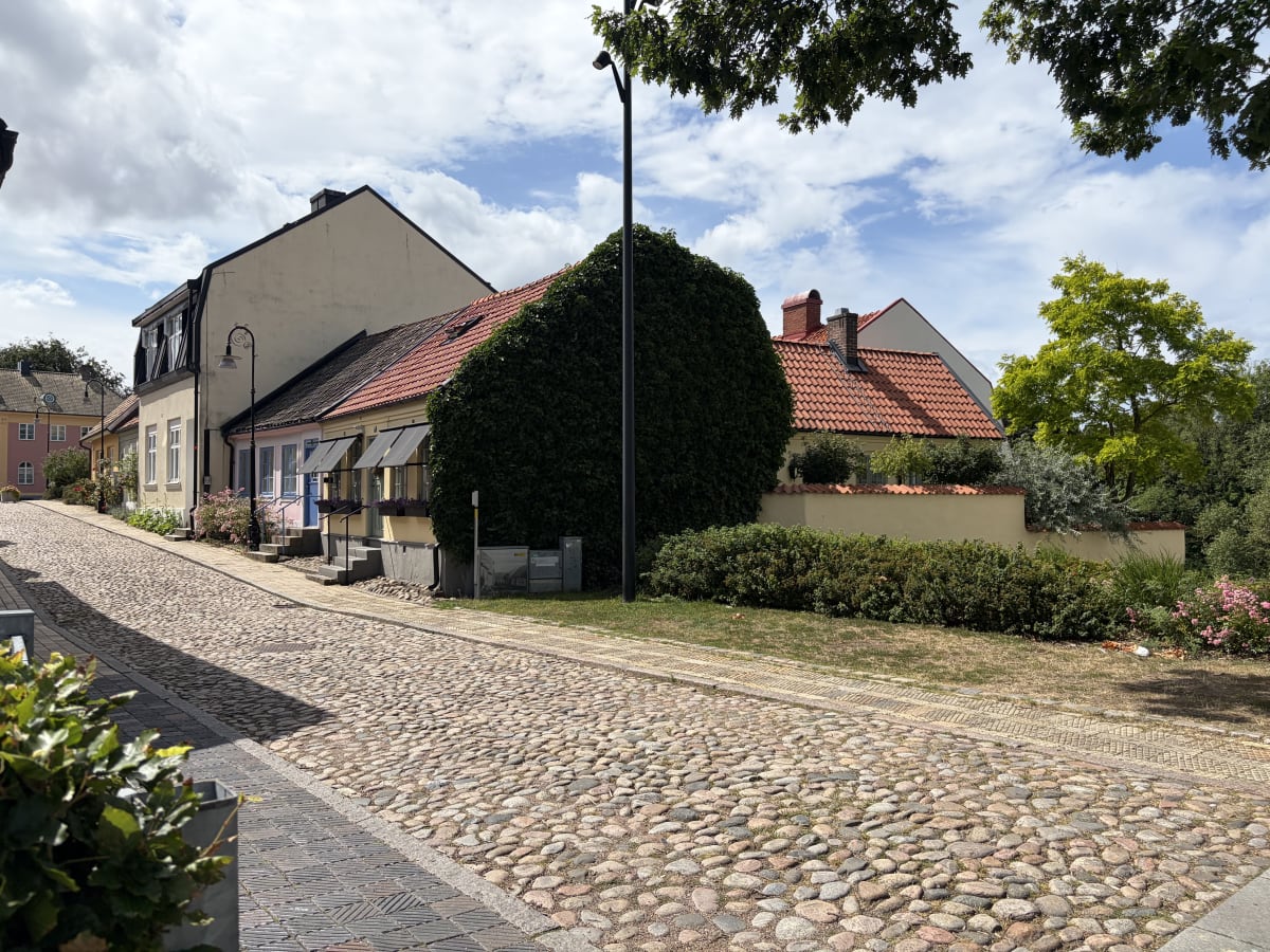 En kullerstensgata leder förbi flera pastellfärgade hus med röda tegeltak. Ett av husen är täckt av grön växtlighet, och det finns grönska längs trottoarerna, inklusive buskar och träd. En lyktstolpe står framför det växtklädda huset. Himmelen är blå