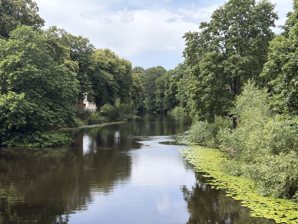 En bild visar en smal vattenväg, omgiven av frodig grönska. Vattenvägen är mörk och reflekterar himlen. Till höger syns en ansamling av näckrosor eller andra flytande växter. På vänster strand syns en ljus byggnad, delvis dold av träden. Himlen är de