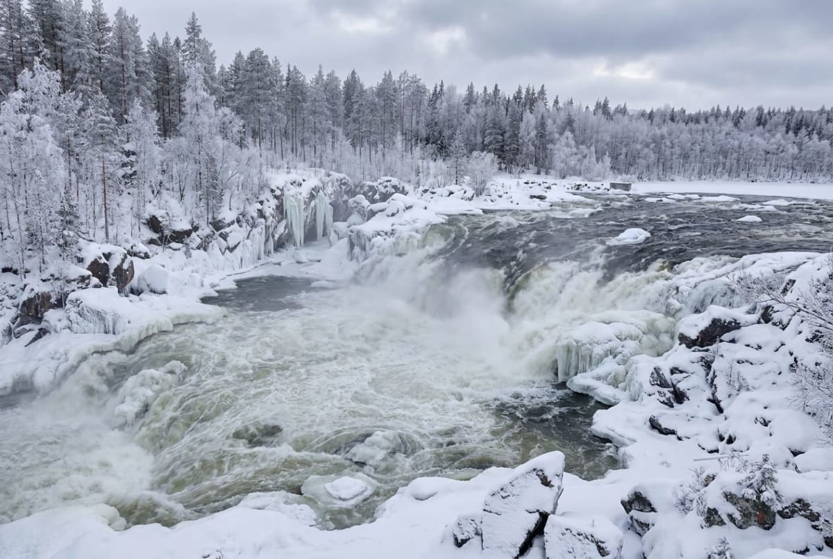 En forsande älv kantad av snö och is. Vattnet skummar vitt vid forsen, och snötäckta träd bildar en skog i bakgrunden. En mulen himmel syns ovanför den snötäckta vinterlandskapet.
