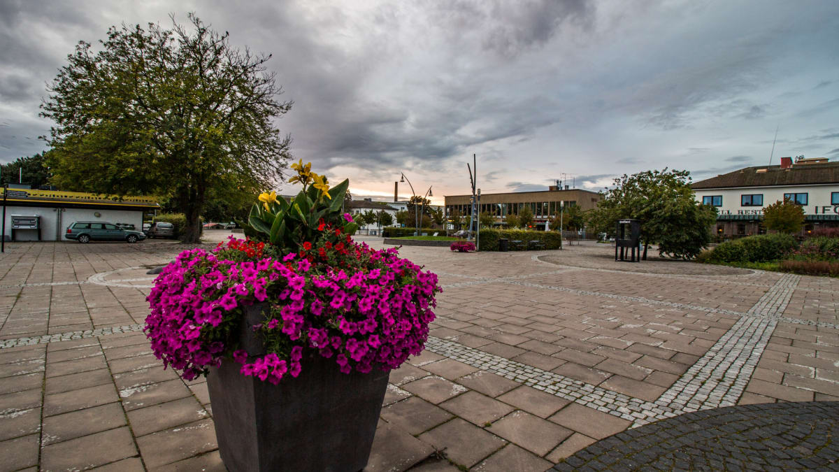 En bild av ett torg eller en öppen plats med en stor blomkruka fylld med lila, gula och röda blommor i förgrunden. I bakgrunden syns byggnader, träd och en mulen himmel.
