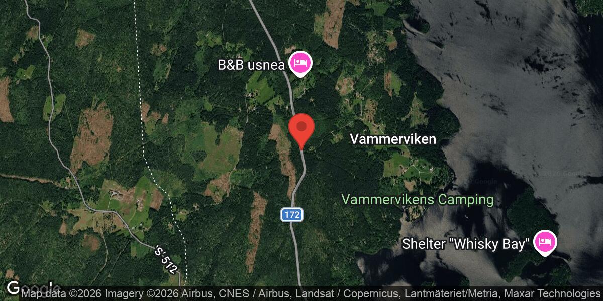 Nedfallet träd blockerade väg 172 vid Blekefjäll