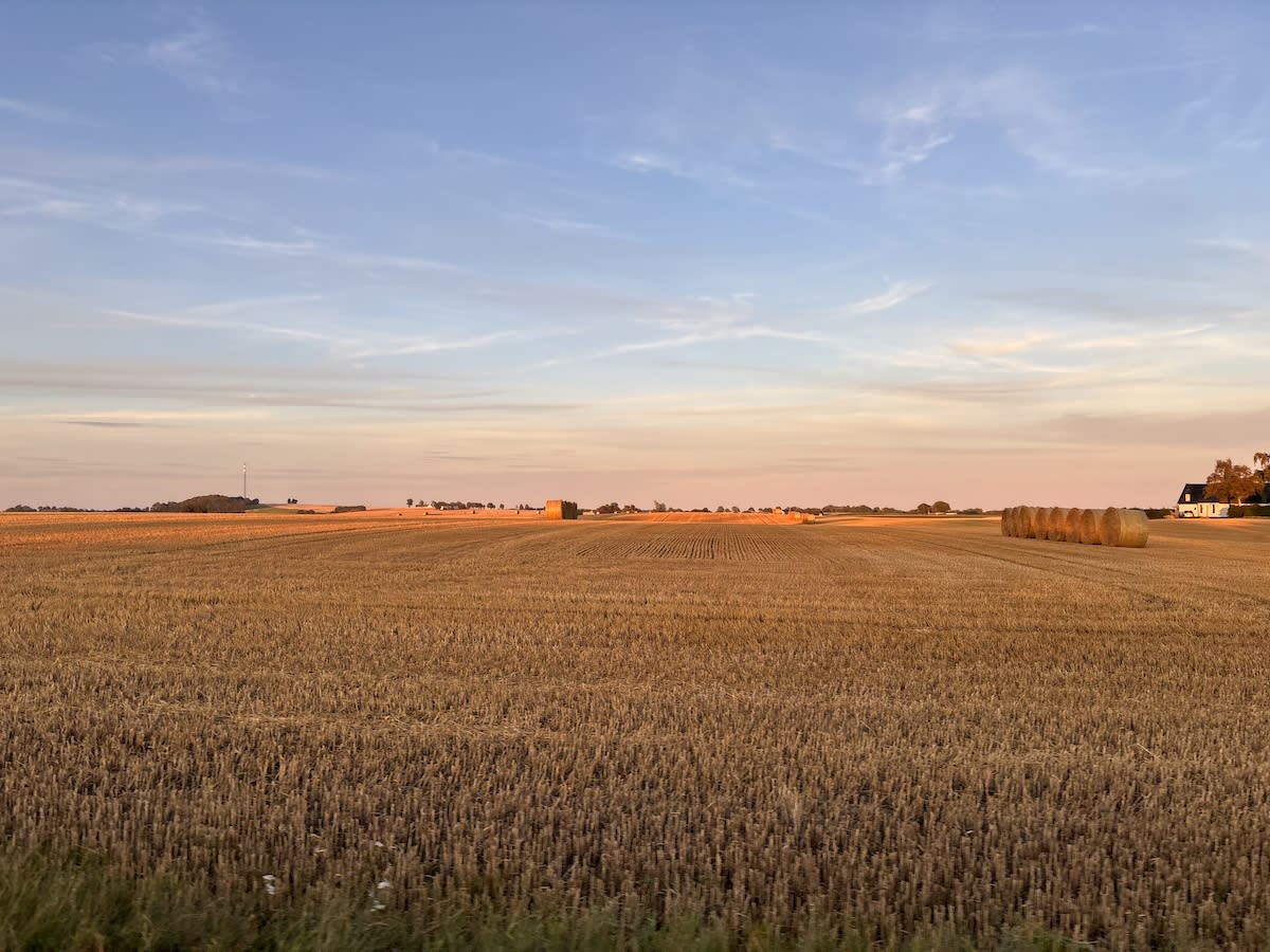 En stor åker med skördad halm breder ut sig under en himmel i blåa och orangea toner vid solnedgång. Ett flertal halmbalar syns på åkern, och i fjärran skymtar en byggnad och träd. En mast syns i bakgrunden.