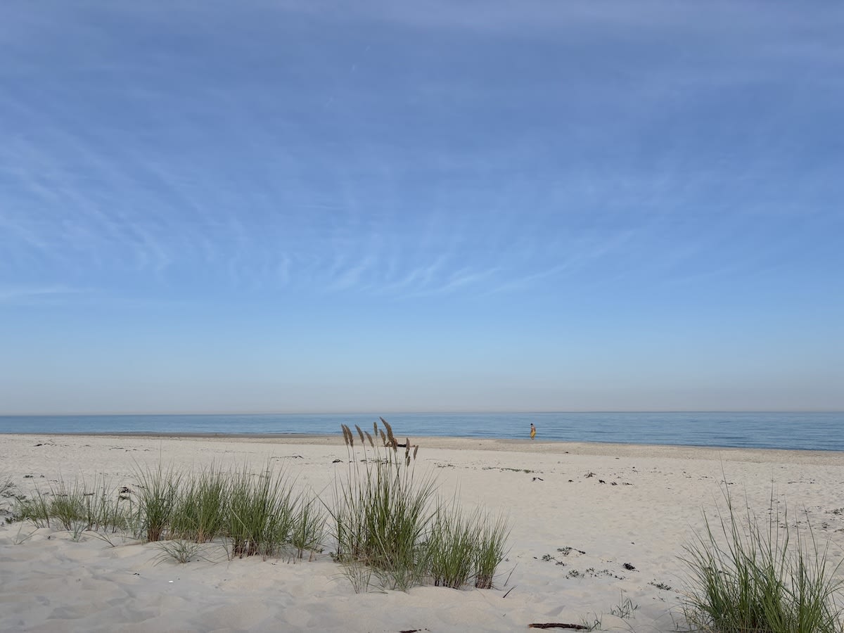 En sandstrand med dyner och gräs i förgrunden, som sträcker sig mot en lugn vattenyta under en klarblå himmel med tunna slöjmoln. En ensam person syns i vattnet en bit bort.