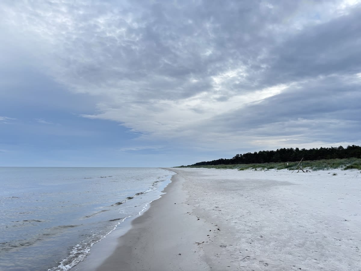 En bild som visar en vidsträckt sandstrand under en molnig himmel. Vattenlinjen med små vågor syns till vänster. Till höger avgränsas stranden av en linje med gräsdyner följt av en mörk grön skog. En struktur av drivved syns på stranden.