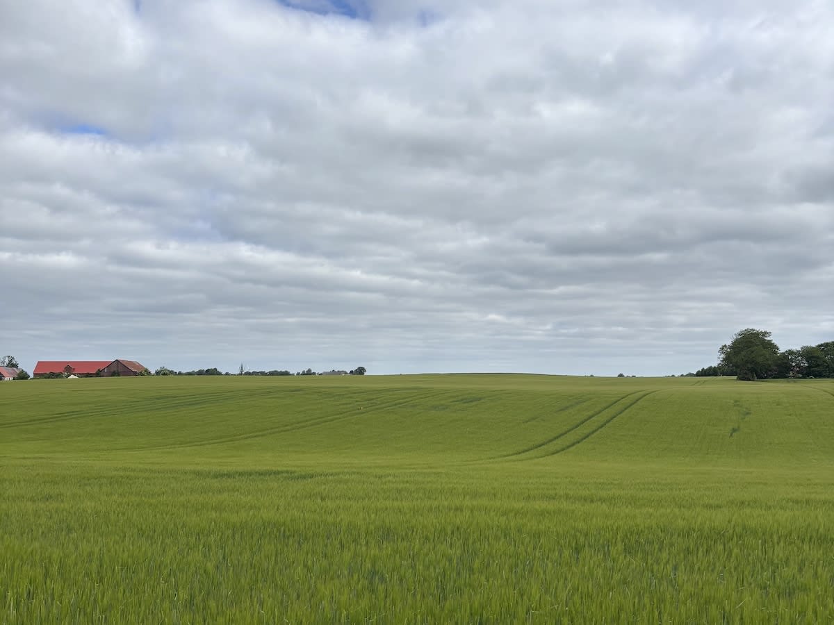 En landskapsbild som visar ett stort, grönskande fält som sträcker sig mot horisonten under en molnig himmel. I fjärran syns byggnader med röda tak, trädklungor och vad som kan vara en kyrkspira eller ett högt torn.