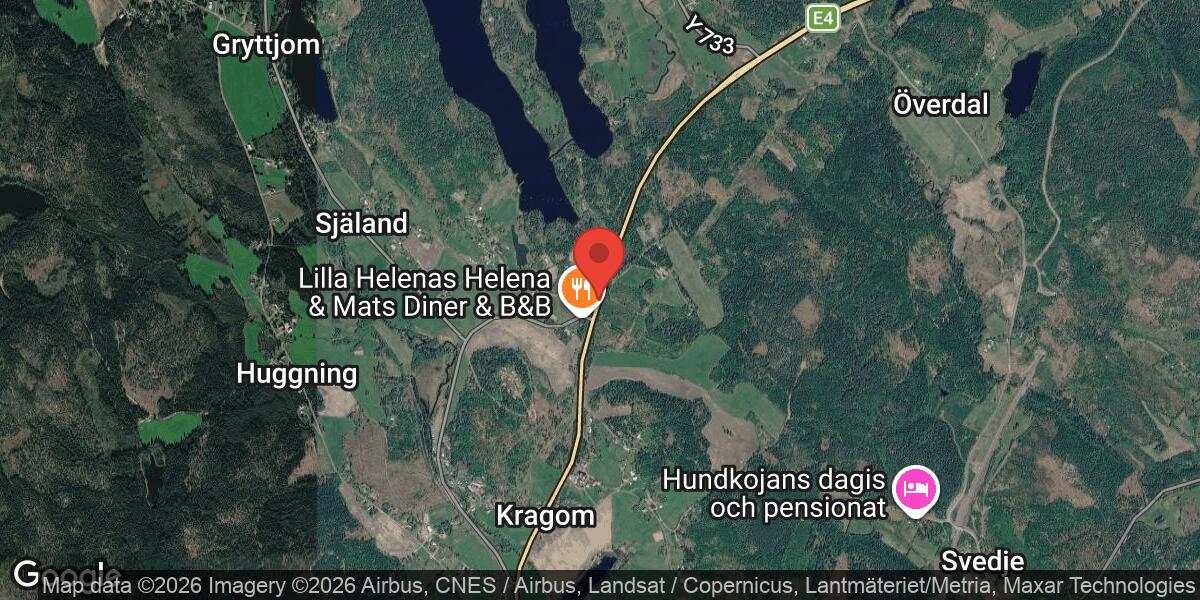 Viltolycka med älg på E4 mellan Nässland och Berge