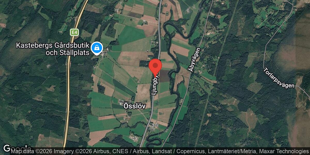 Älg på vägen påverkar trafiken på väg 568 mellan Ljungby och Lagan