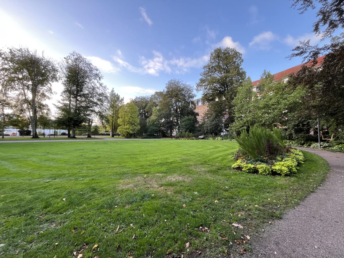 En bild visar en grön park med en stor gräsmatta i förgrunden, omgiven av träd och buskar. En grusgång syns till höger och i bakgrunden skymtar en byggnad med rött tak. Vissa träd uppvisar gula löv och det ligger enstaka bruna löv på marken.