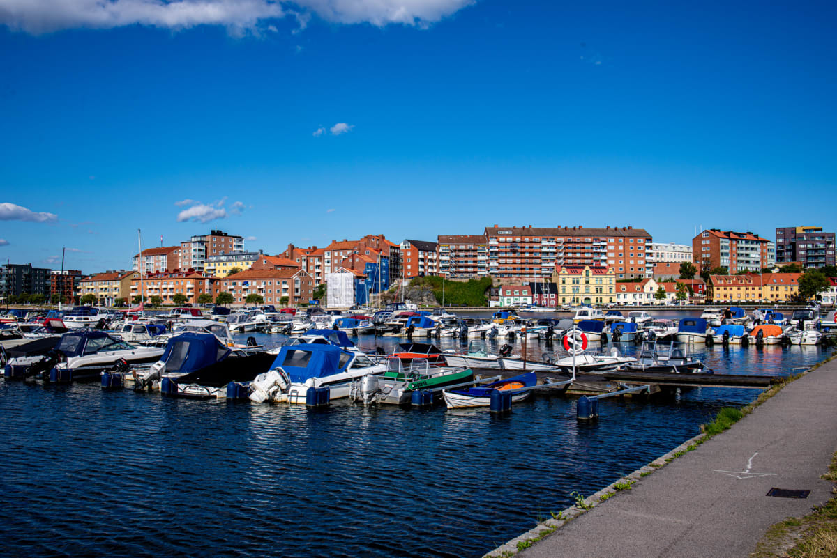 En marina med många båtar, de flesta med blå kapell, ligger i förgrunden och mellangrunden under en klarblå himmel. I bakgrunden syns en stadssiluett med byggnader i rött tegel och ljusare färger, samt några grönskande träd. En asfalterad gångväg löp