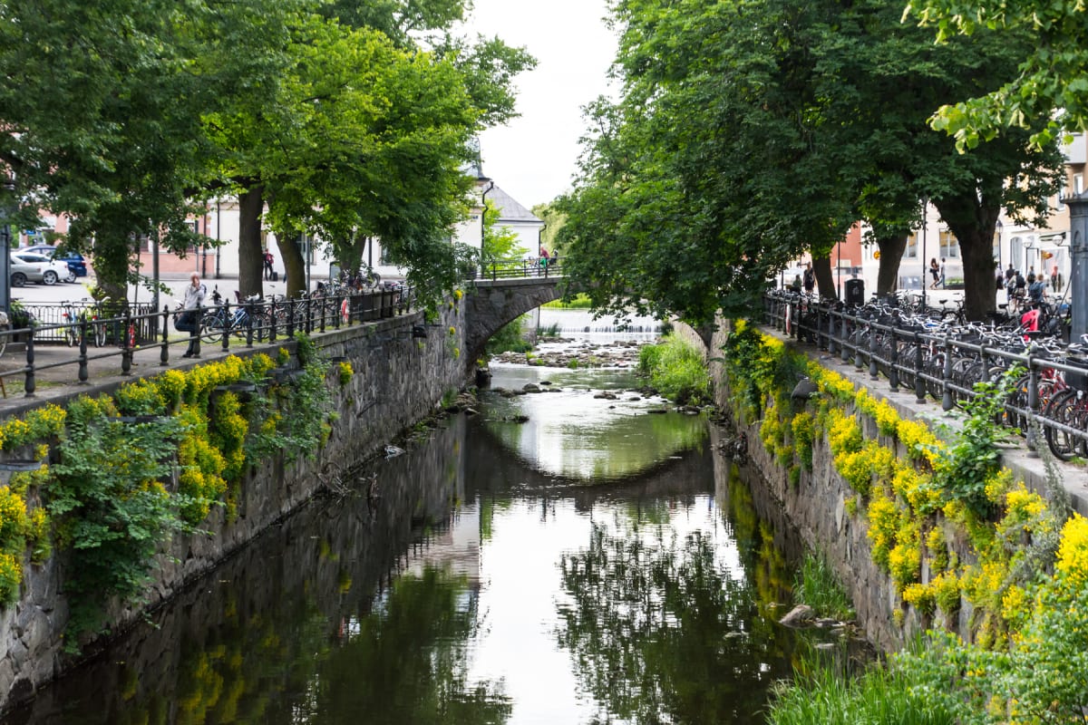 En kanal eller å kantad av stenmurar med gula blommor som växer på dem, samt gröna träd längs båda sidor. Ett stenvalvsbro korsar vattnet i mitten, och en damm eller mindre vattenfall syns under bron. Cyklar är parkerade längs kanalen.