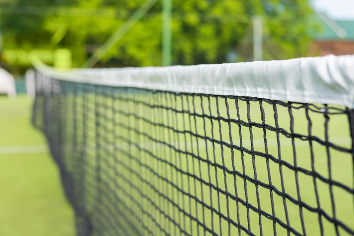 En svart tennisnät med en vit överkant sträcker sig diagonalt över bilden. I bakgrunden syns en grön tennisplan och oskarpa gröna träd under dagsljus. Filnamnet anger "grass tennis court with net".
