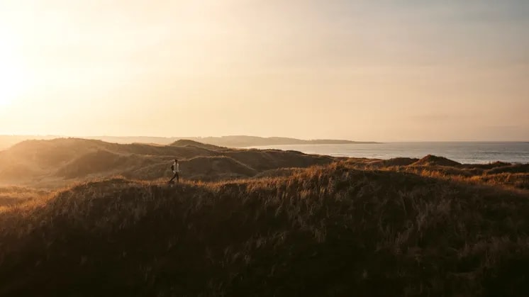 Visit Halland startar AI-projekt för framtidsbilder av turismen fram till 2045