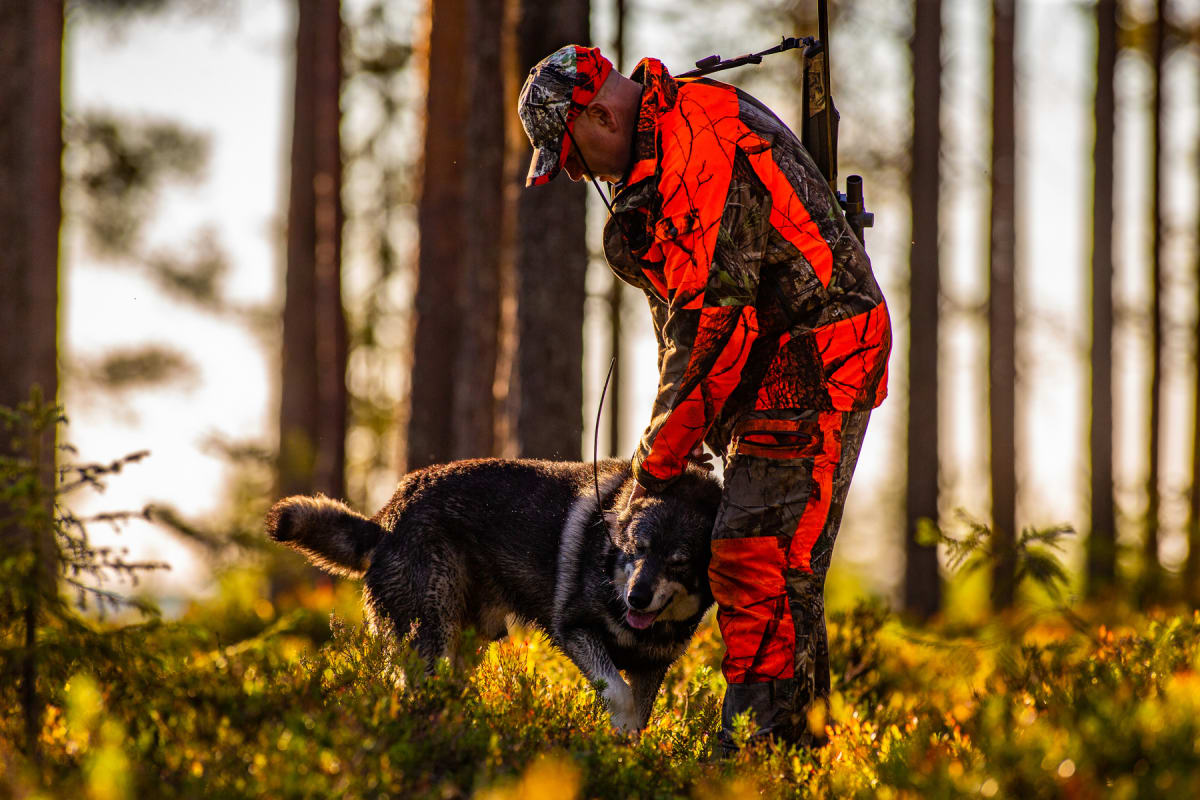 Jaktlag avbröt jakten efter nära möte med varg