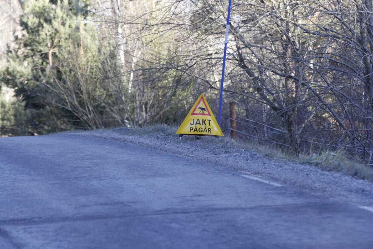 En gul varningsskylt med texten "JAKT PÅGÅR" och en svart symbol av en älg, står vid sidan av en grusväg. I bakgrunden syns skog med både barrträd och lövträd utan löv, samt en blå stolpe.