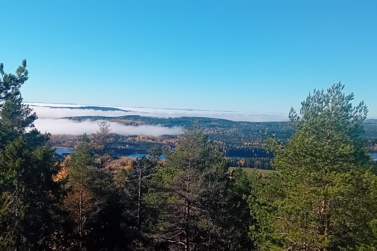 Utsikt från en höjd över ett vidsträckt skogslandskap med sjöar och barrträd i förgrunden. Lågt liggande dimslöjor vilar över landskapet under en klarblå himmel.