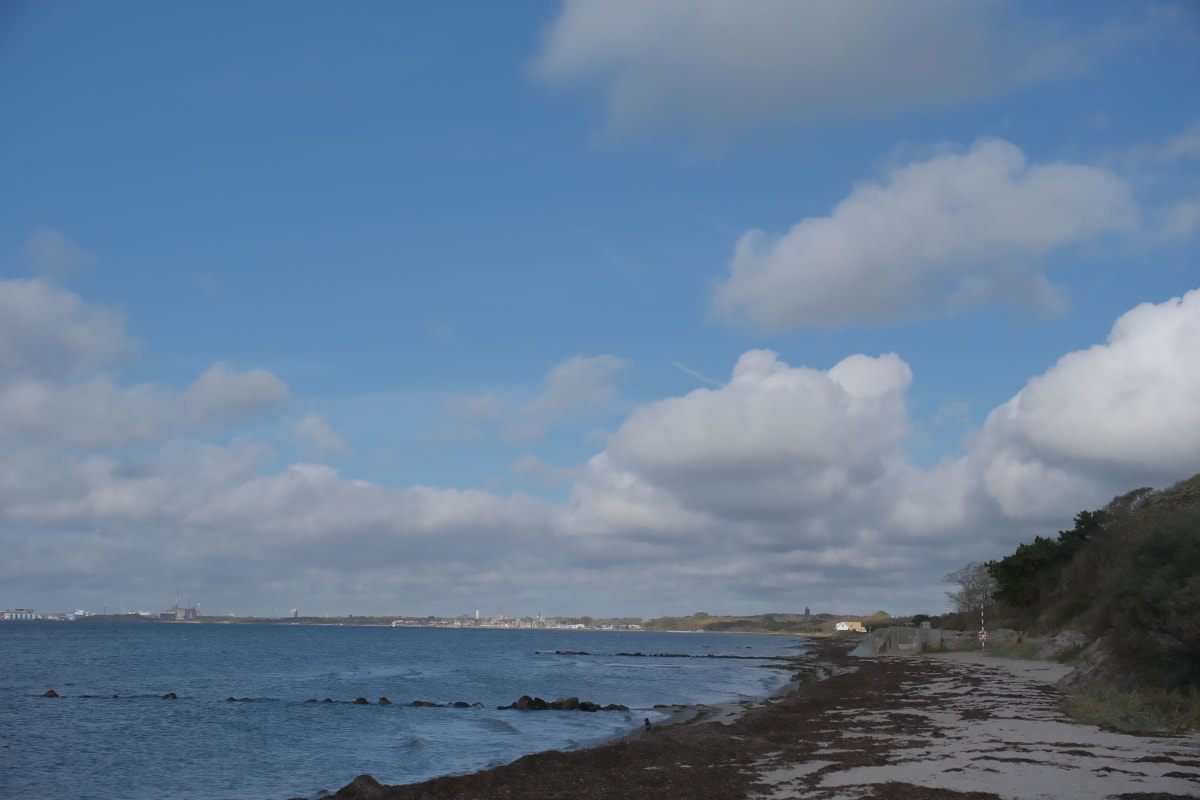 Kustlandskap med en sandstrand kantad av uppspolad tång. Havet sträcker sig mot en horisont med avlägsen bebyggelse under en blå himmel med vita moln.