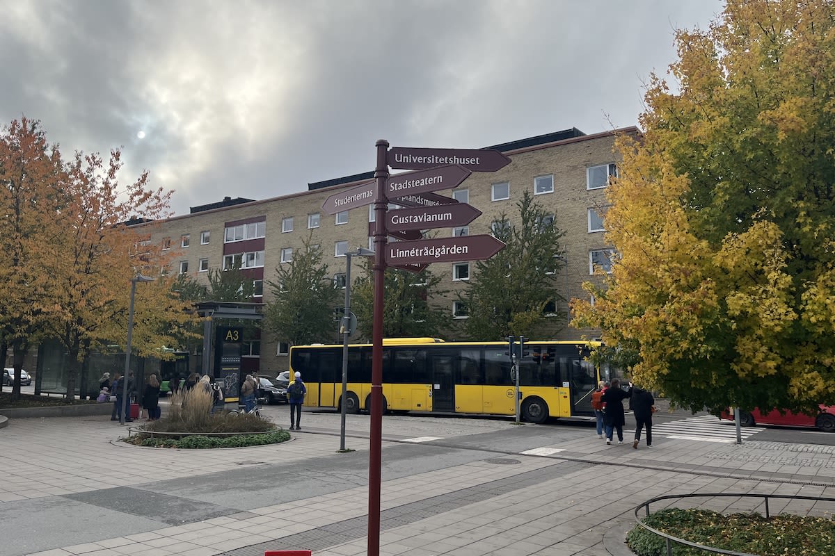 Vägvisarskylt med hänvisningar till sevärdheter i Uppsala framför ett torg med gul stadsbuss, busshållplats och flervåningshus. Träden bär höstfärgade löv.