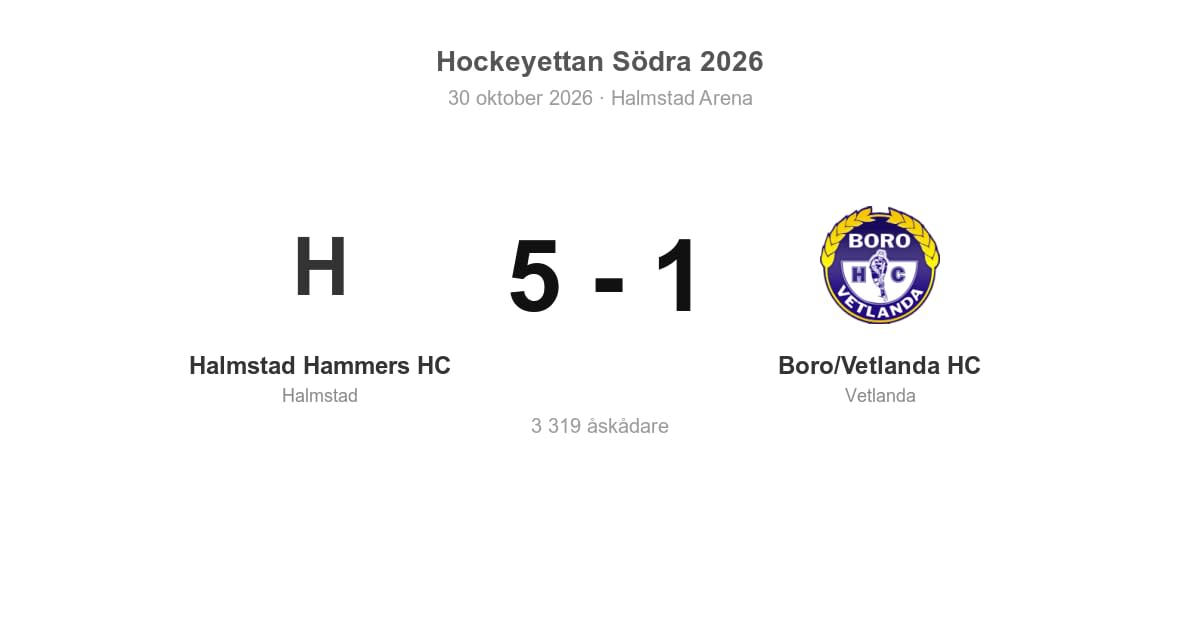 Boro/Vetlanda HC föll borta mot Halmstad Hammers